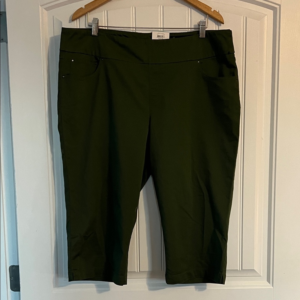 Time and Tru Mid Rise Capri Pants Size 16-18 XL